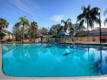 Pool views